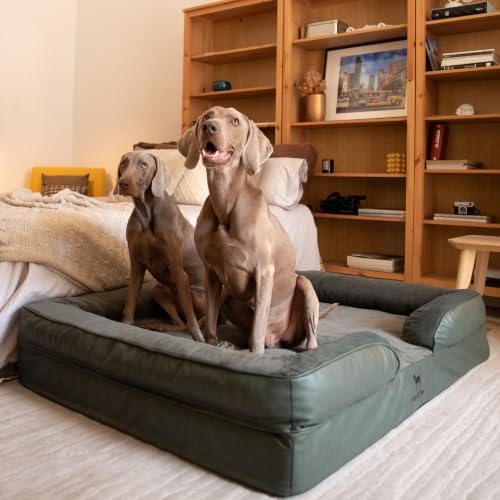 XXL Dog Bed Orthopedic Memory Cooling Foam (Green - LE / XX-Large)