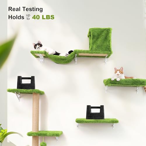 Cat Wall Shelves (Green)