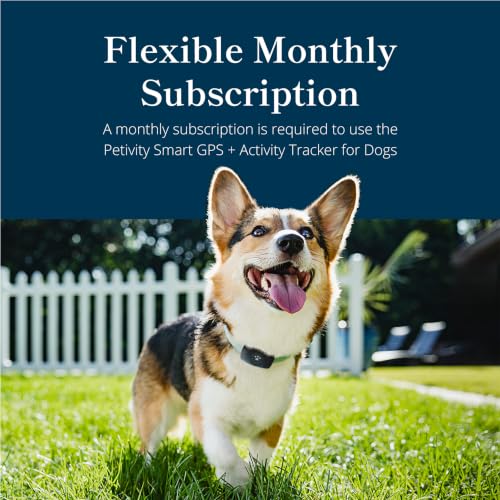 Smart GPS and Activity Dog Tracker Tag (Black)