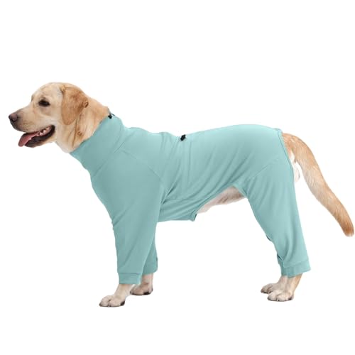 Recovery Suit for Large Dogs (Green / 2XL)