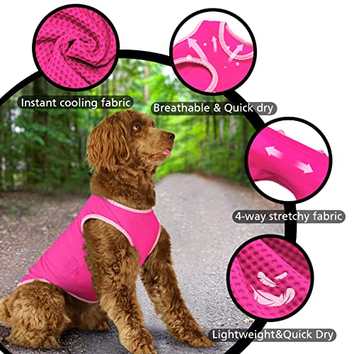 2 Pack Cooling Shirts for Dogs (M(chest:12-14") / Pink&Rose red)