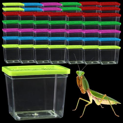 48 Pack Small Plastic Reptile Carrier Tarantula Enclosure Breeding Box Hatching Container for Spider Snail Turtle Hermit Crab Insect