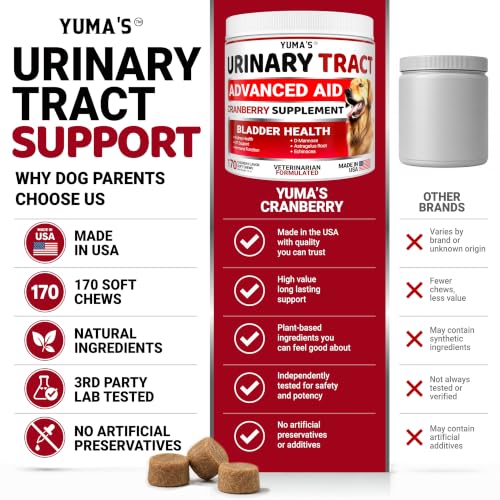 Cranberry Supplement for Dogs (Urinary & Bladder Multivitamin / 170 Chews)
