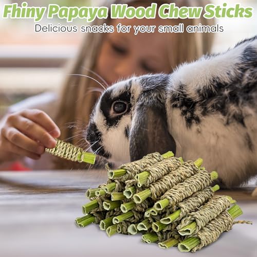 24 PCS Rabbit Chew Sticks