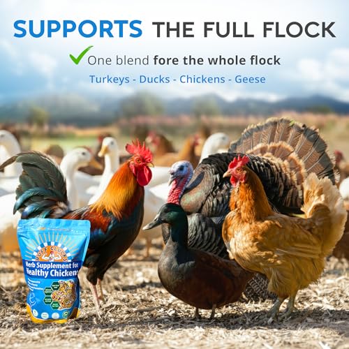 Herbs Supplement for Chicken Food Natural Poultry Feed (12 Ounce (Pack of 1))