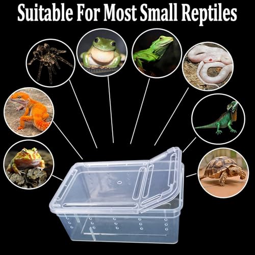 Critter Keeper 2