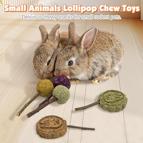 Rabbit Chew Toys