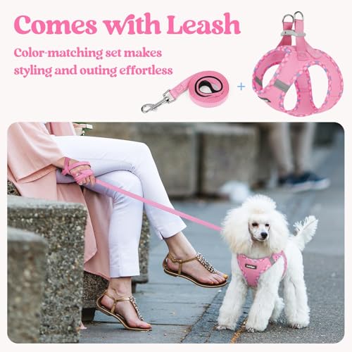 Dog Harness Medium Sized and Leash Set (Pink & Plaid Trim / M (chest: 16 - 18.5"))