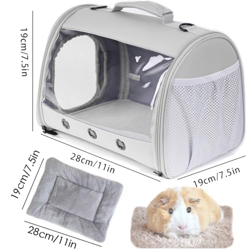 Bearded Dragon Travel Carrier Backpack (Grey)
