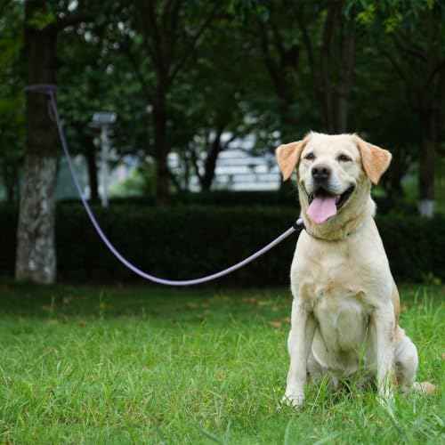 Long Dog Leash (Red / 10FT*0.4" Single Handle)