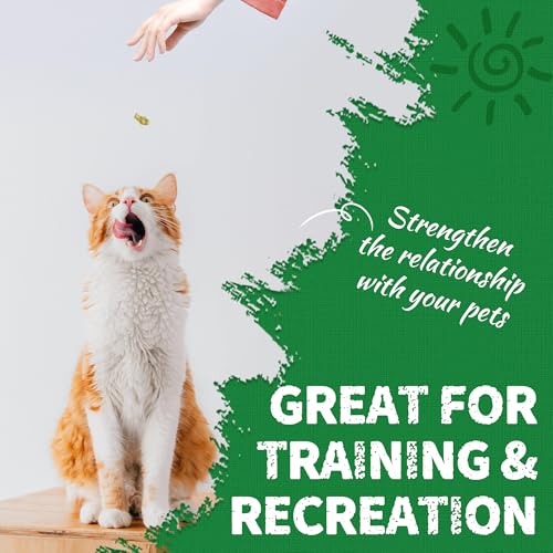 36 OZ Cat Grass Treats for Indoor Cats Hairball Control (2.25 Pound (Pack of 1))