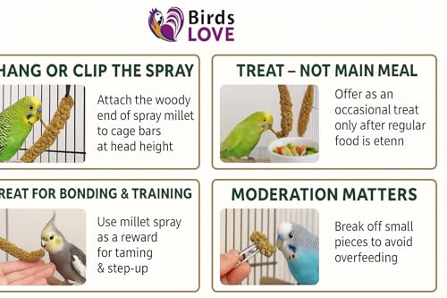 5lbs French Kissed Spray Millet for Birds (5lb)