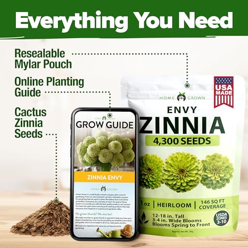 Envy Zinnia 4
