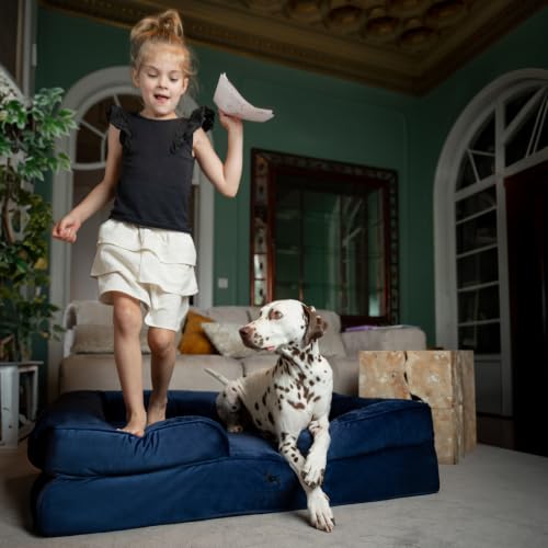 Large Dog Bed (Dark Blue - DE / X-Large)