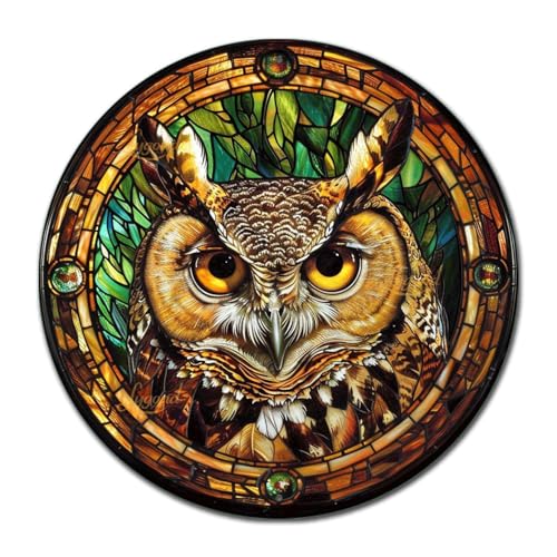 Metal Tin Sign (8×8 Inches / Owl-4)