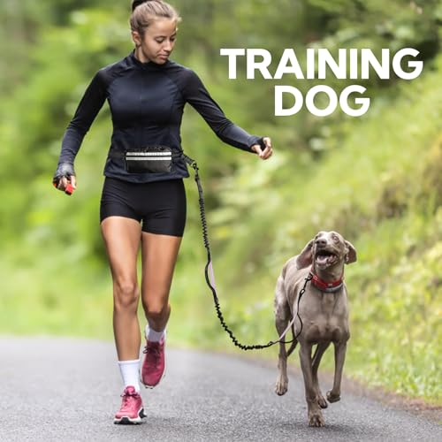 Hands Free Dog Leash for Two Dogs Walking (Black/Purple / Large)