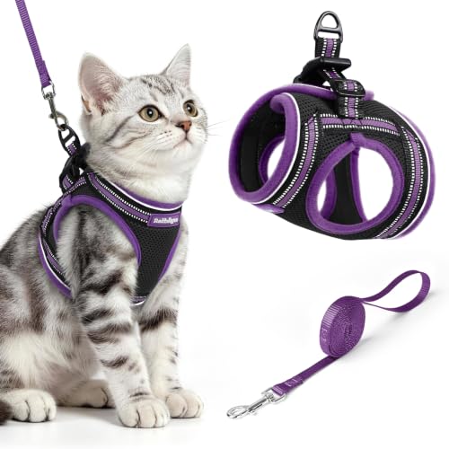 Cat Harness and Leash Set (M / Black & Purple)