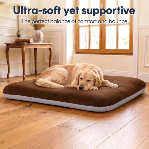 Orthopedic Large Dog Bed 39 Inch (39.0"L x 33.5"W x 4.0"Th / Dark Brown)
