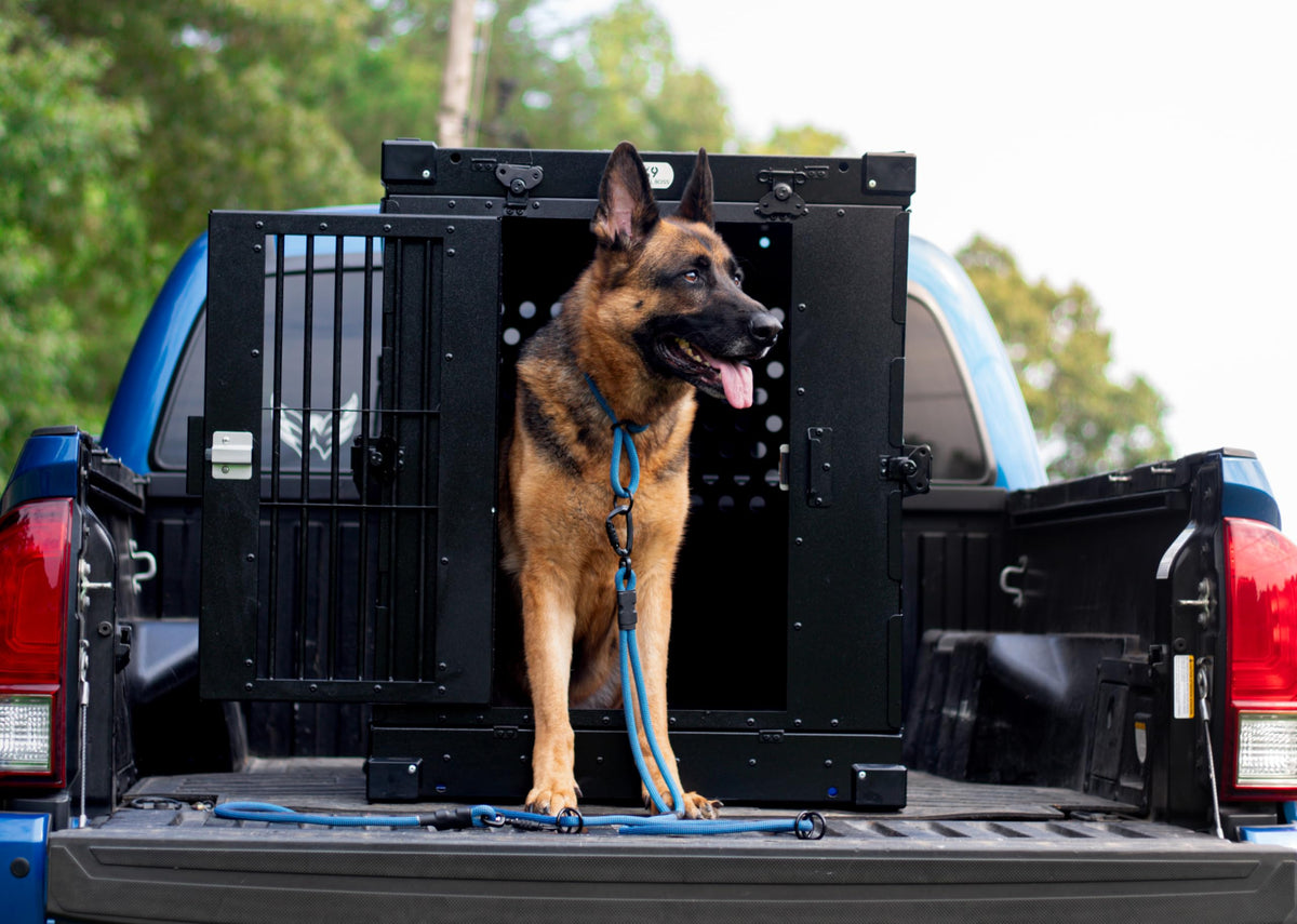 Aluminum Collapsible Dog Crate (Black / 41.6"L x 29.7"W x 33.9"H)