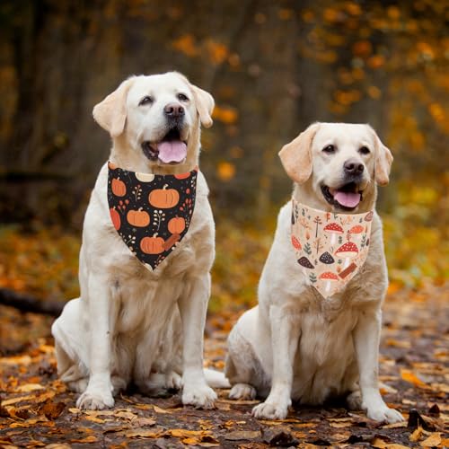 Black Fall Dog Bandana (X-Large / Fall)