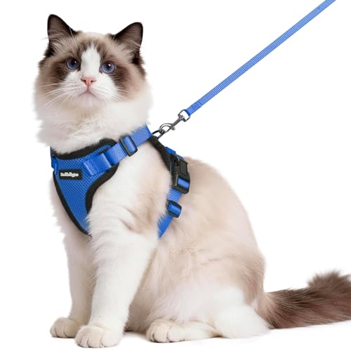 Cat Harness and Leash Set (M / Navy Blue)