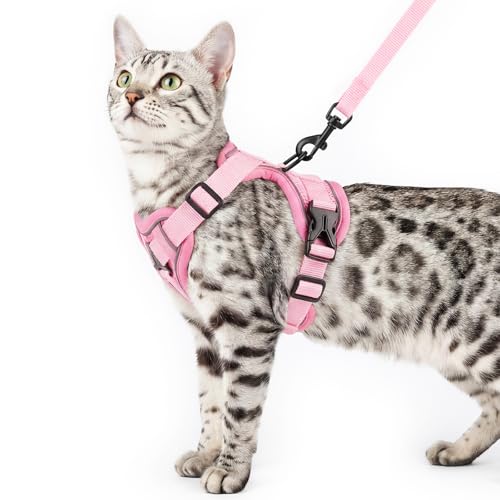 Cat Harness and Leash Set (Pink / Small)