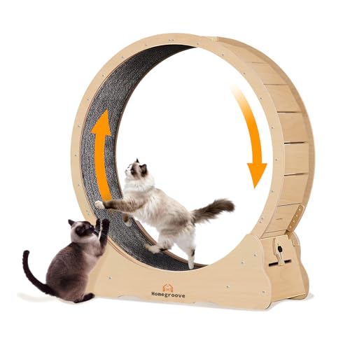 XXL Cat Exercise Wheel (XXL / Natural Wood)