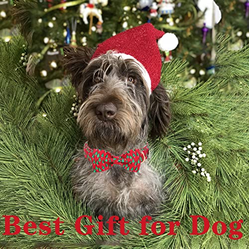 Christmas Dog Collar with Bow Best Winter for Small Medium Large Dogs (Medium / Tree-Christmas)