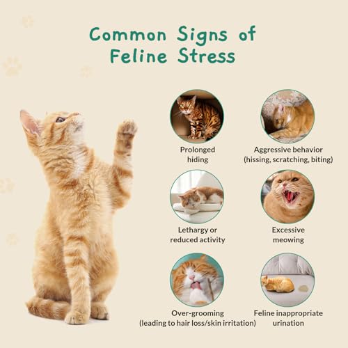 Calming Pop Patch for Cat Travel (14 Count)
