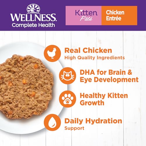 Complete Health Pate Kitten Canned Wet Cat Food (5.5 Ounce (Pack of 24))