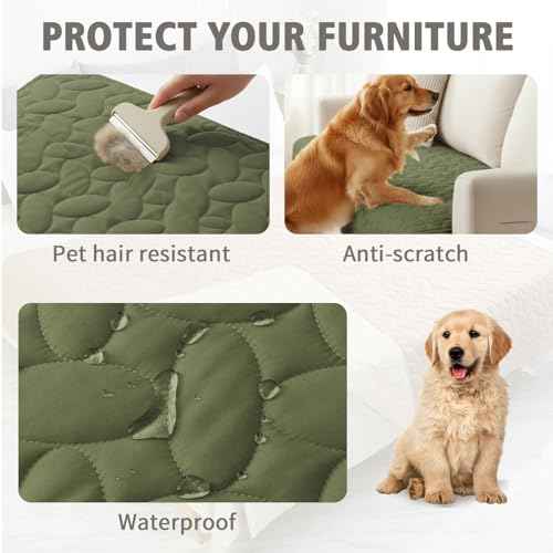 Pet Bed Cover Dog Bed Blanket for Sofa and Furniture Waterproof New Pattern Design (40x50 Inch (Pack of 1) / Green)