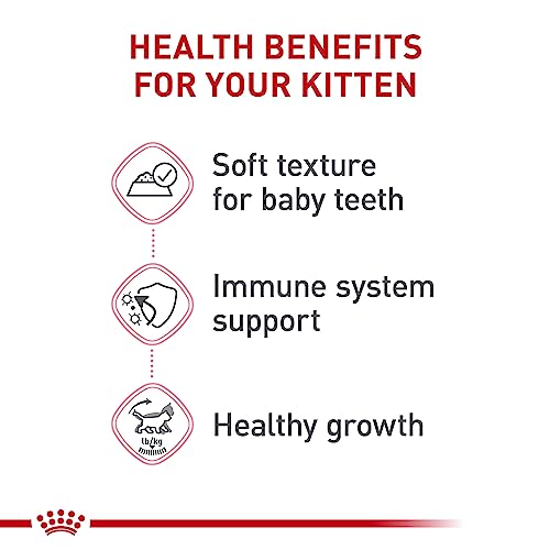 Feline Health Nutrition Kitten Loaf in Sauce Cat Food (3 oz (Case of 24))