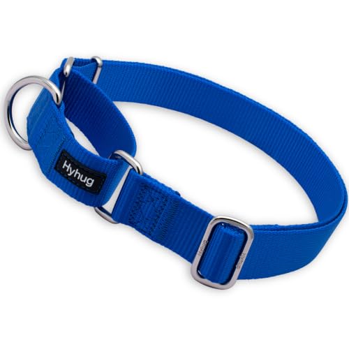Martingale Collar for Dogs (XL / Bright Blue)