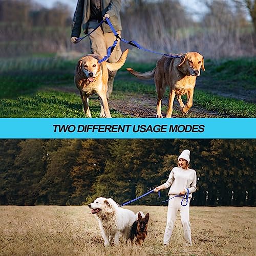 Double Dog Leash (Blue)