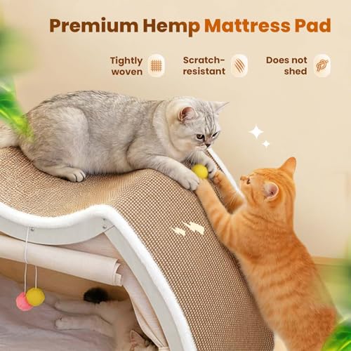 Cat Houses for Indoor Cats (19.7*12.6*15.7"/Flat Roof (M))