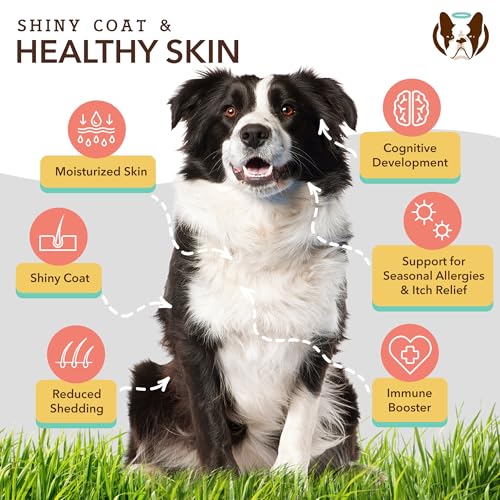 Healthy Joints (2 X16 fl. oz / Bundle)