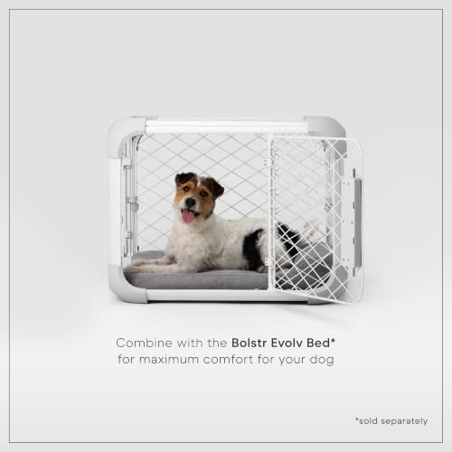 Evolv Modular Dog Crate for Dogs Up to 16" Tall (Small (25.9"L x 19.4"W x 20"H) / Ash)