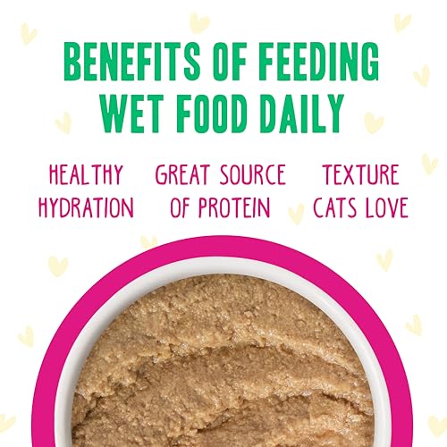 B.F.F. Play Best Feline Friend Paté Lovers (2.8 Ounce (Pack of 18))