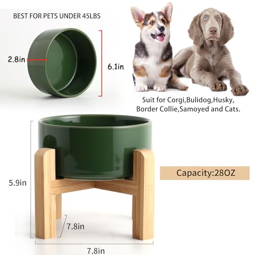 28 OZ Elevated (Rust Green / 3.6 Cups - Medium)