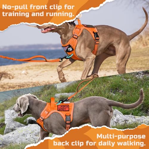 Tactical Dog Harness for X (Orange / X-Large)