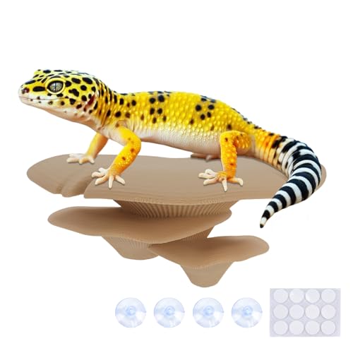 Mushroom Decor for Reptile Tank (Trio Cap / Almond)