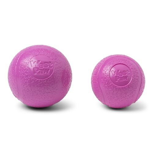 Boundr Ball Dog Fetch Toy (Large (Pack of 1) / Hot Pink)