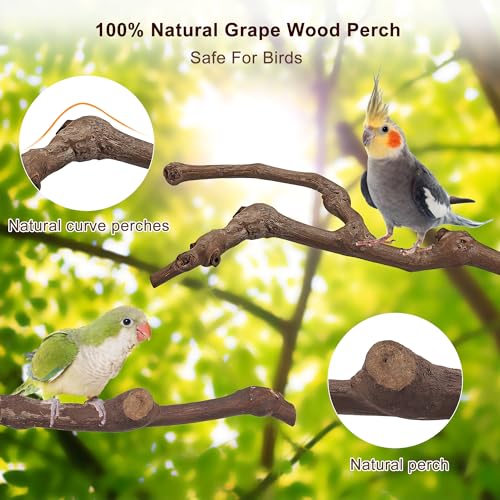 5PCS Bird Perch Natural Wood Grape Stick Stand Chewing Exercise Branches