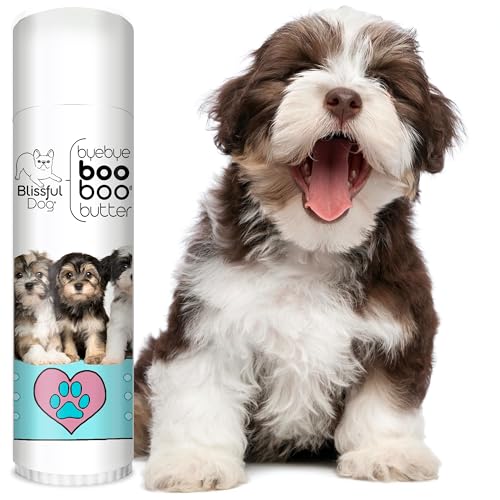 Havanese Boo Boo Butter (0.50 Ounce / Havanese)
