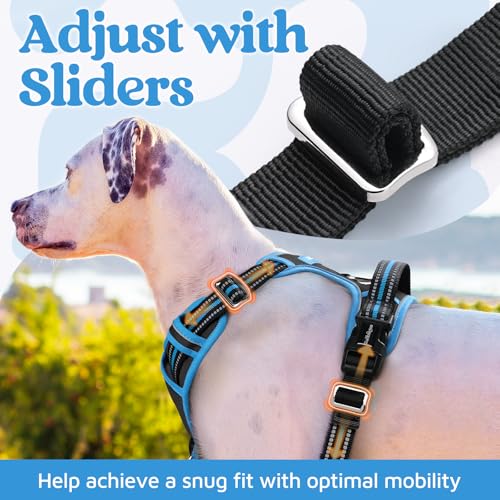 Dog Harness for Large (Black & Blue / Large)