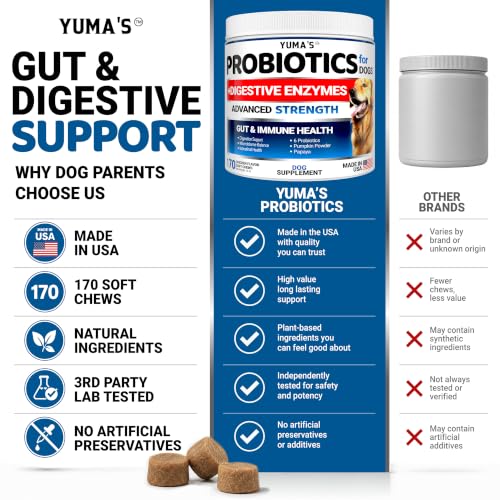 2 Pack) Probiotics for Dogs - 340 Ct - Dog Probiotics Chews for Gut Health (Probiotic Chews / Value Pack (340 Chews))