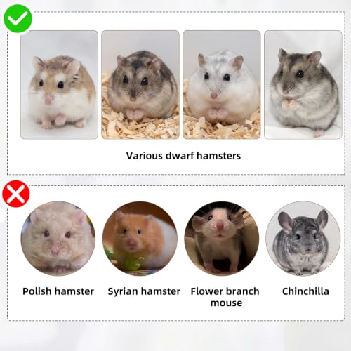 9 in 1 Hamster Cage Kit (Yellow)