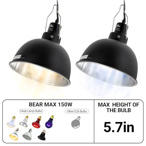2 Pack Reptile Light Fixture (8.5in)