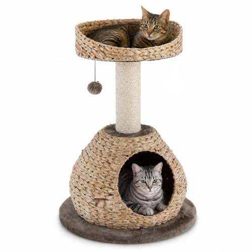 Modern Cat Tree Tower (28 inches / Coffee)