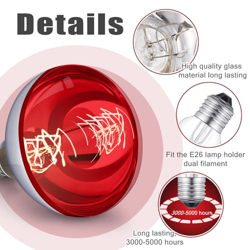 6 Pack Heat Lamp Bulbs 250 Watt (Silver, Red)